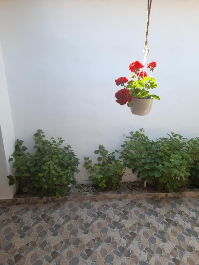 Casa Valea Morilor Guest House Eftimie Murgu Luaran gambar