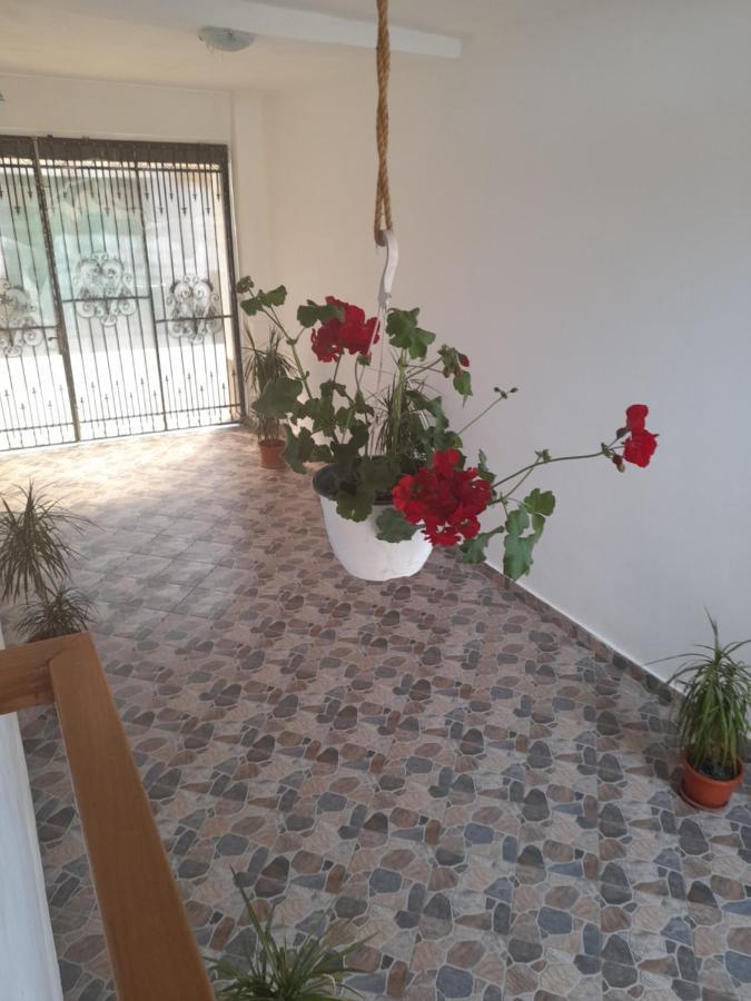 Casa Valea Morilor Guest House Eftimie Murgu Luaran gambar