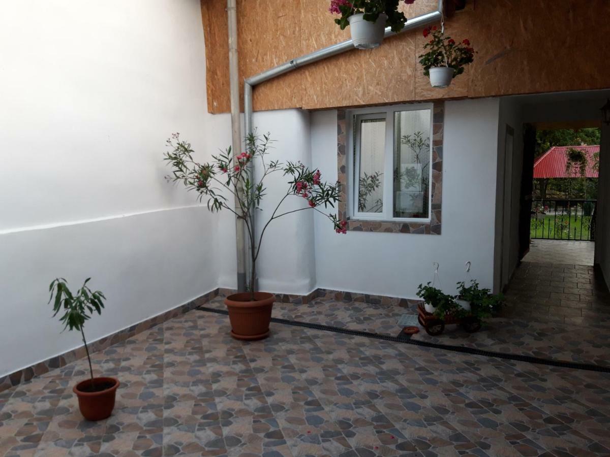 Casa Valea Morilor Guest House Eftimie Murgu Luaran gambar