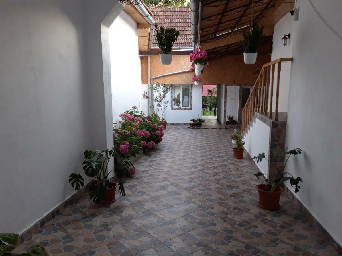 Casa Valea Morilor Guest House Eftimie Murgu Luaran gambar