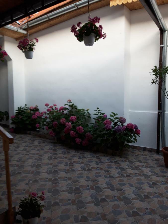 Casa Valea Morilor Guest House Eftimie Murgu Luaran gambar